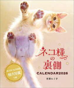 lRl̗J_[2026^FV~q 2026N J_[ CL26-0398 Jir  킢 CeA Vv  v[gv`Mtgɂ