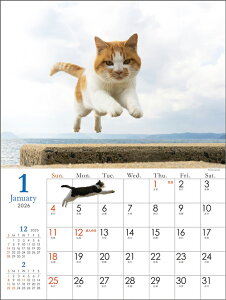 єL 2026N J_[ CL26-0402 Jir  킢 CeA Vv  v[gv`Mtgɂ