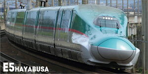 X[p[V 2026N J_[ CL26-0431 Jir  킢 CeA Vv  v[gv`Mtgɂ