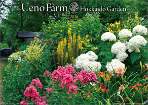 t@[ kCK[f 2026N J_[ CL26-0478 Jir  킢 CeA Vv  v[gv`Mtgɂ