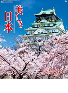 { 2026N J_[ CL26-1031 Jir  킢 CeA Vv  v[gv`Mtgɂ