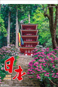 {itCj 2026N J_[ CL26-1042 Jir  킢 CeA Vv  v[gv`Mtgɂ