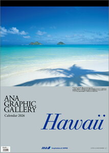 ANAuOtBbNM[ nCv 2026N J_[ CL26-1144 Jir  킢 CeA Vv  v[gv`Mtgɂ