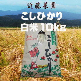 【令和5年度】コシヒカリ 10kg お米 白米 おこめ 精米 単一原料米 ブランド米 送料無料 国内産 国産 一等米