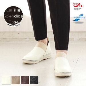 Z[i EASE Xb| fB[X {v L 4E { y SA S Lk RtH[g N` ₷ ɂ 3cm[FOO-EL-7304]