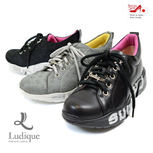 yLudiquezXj[J[ {v  RtH[g 4E {[\[ y 炭 ₷ ɂȂ O {  3cm[FOO-FL-50286]