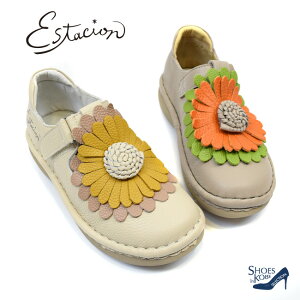 Estacion GX^VI Xb| {v fB[X t[  xg ₷ ɂ N` RtH[g 4cm[FOO-FL-MSE204]