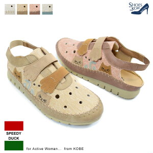 SPEEDY DUCK Xs[fB[_bN Xj[J[ T_ Xj[J[T_ fB[X T_Xj[J[ JWAC JWAV[YfB[X LXj[J[ lR L L C 킢