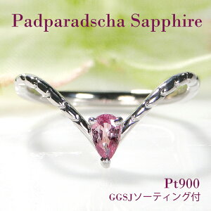 Pt900 pp`ATt@CA OyGGSJ\[eBOtz v`i900 lC Tt@C w pp`A Tt@CA v[g 󏭐 VR ppb` 9a   WG