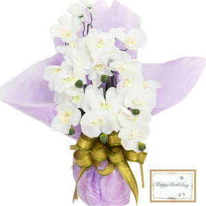 LfB[ t[ Ӓ  G}  Mtg JXj v[g  a   FB ސEj i җj LO j ̓ q q 蕨