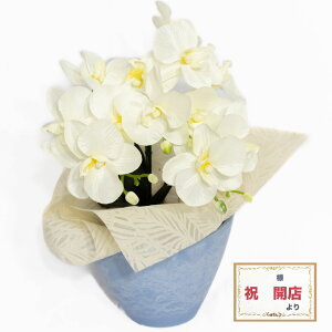 LfB[ t[ AW  u[P Mtg IW sN F   a v[g Mtg   c FB ސEj i җj LO e j 