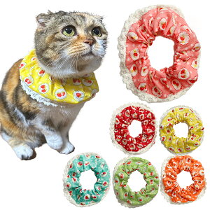 yz LpP[v L ցyӂVV P[v [XXgx[ztb Lp Lp L S  { _炩 킢  ^   ^ ^