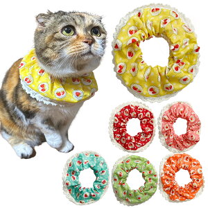 yz LpP[v L ցyӂVV P[v [XXgx[ztb Lp Lp L S  { _炩 킢  ^   ^ ^