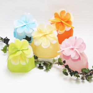 yIŴ݁zbsO Mtg v[g u[~O t[ В (  ) 10Zbg   ȒP  nhCh ZtbsO nhCh [  [