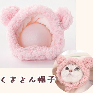 yybgpXqzӂӂ ܂Xq@MTCYyLEz˂  nEB }WbNe[v