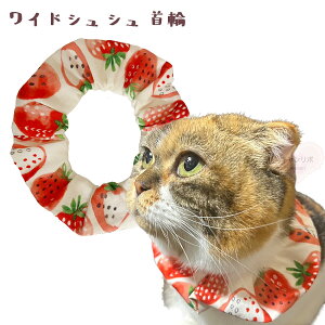  L ցyChVV 傫䕁zLp Lp L   XgX t[ y S 킢  qL L nQȂ nQɂ ی ÂȂ _炩 