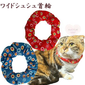  L ցyChVV ߂񐅋ʁzLp Lp L   XgX t[ y S 킢  qL L nQȂ nQɂ ی y _炩 