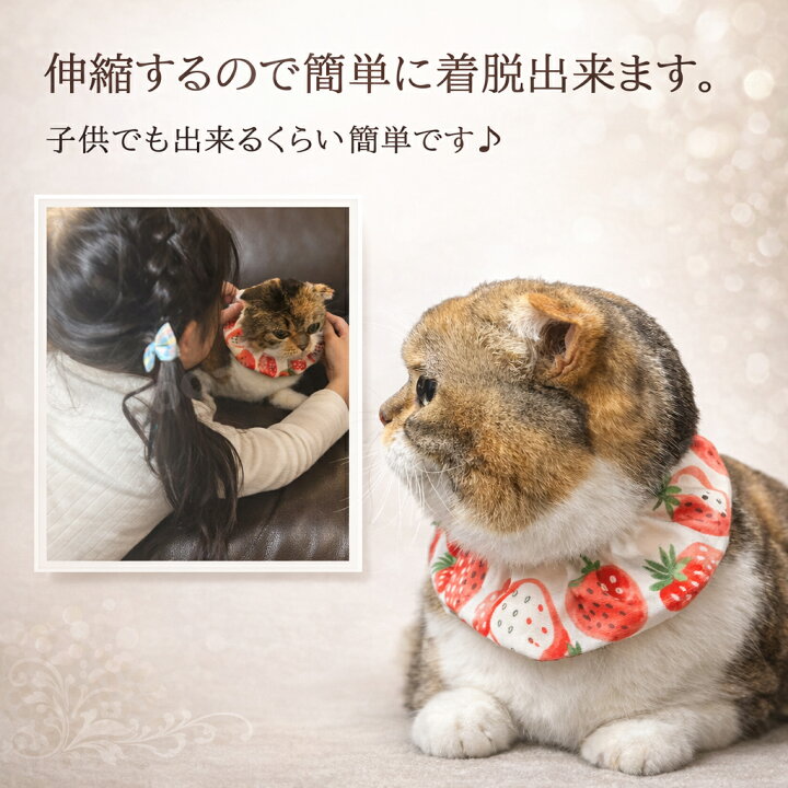 楽天市場】手作り 猫 首輪【ワイドシュシュ首輪 ドットレース レッド 