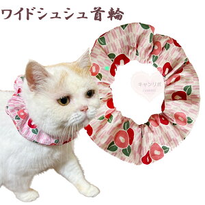  L ցyChVV RƂ܂邢ցzLp Lp L   XgX t[ y S 킢  qL L nQȂ nQɂ ی y _