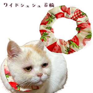  L ցyChVV 傫䕃sNzLp Lp L   XgX t[ y S 킢  qL L nQȂ nQɂ ی y _炩