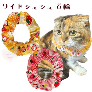  L ցyChVV 䕁zLp Lp L   XgX t[ y S 킢  qL L nQȂ nQɂ ی y _炩 