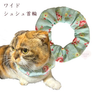  L ցyChVV g[Y ȖzLp Lp L   XgX t[ y S 킢  qL L nQȂ nQɂ ی y _