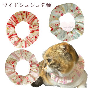  L ցyChVV XEB[g[YzLp Lp L   XgX t[ y S 킢  qL L nQȂ nQɂ ی y _