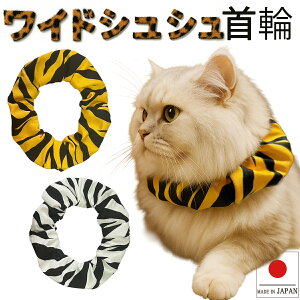  L ցyChVV gzLp Lp L   XgX t[ y S 킢  qL L nQȂ nQɂ ی y _炩 ybg 