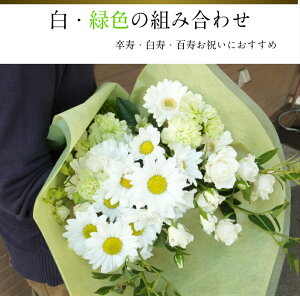 ԑ v[g j Mtg җ Ê  P Ď   S