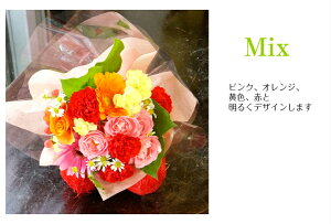  v[g ԑ ~ju[P a  v`Mtg