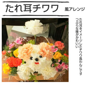 v[hAW ViEU[AW J[l[Vō v[h V[Y[ ` v[g LO a LO j