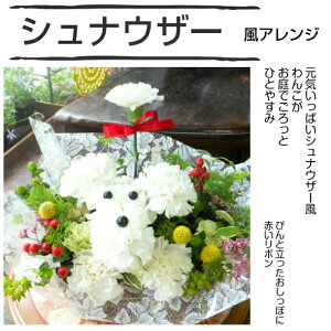 v[hAW ViEU[AW J[l[Vō v[h V[Y[ ` v[g LO a LO j