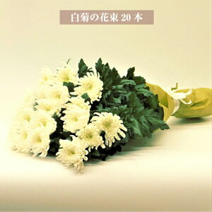菊 切り花 生花の人気商品 通販 価格比較 価格 Com