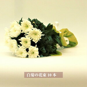   ẻԑ 10{    䋟   p ؂ ԑ eԃu[P