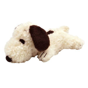 Xk[s[@s[ibc ӂ^ʂ݁@STCY@J@177346-22