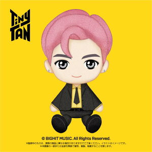 BTS RM TinyTAN ぷりぬい 小さなぬいぐるみ お座りサイズ  2934