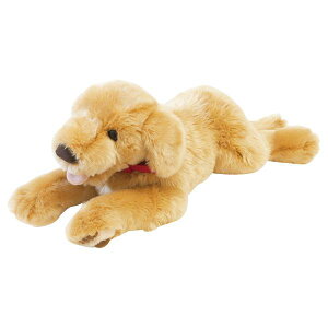 ̂ʂ݁@S[fgo[@MTCY@180372@g