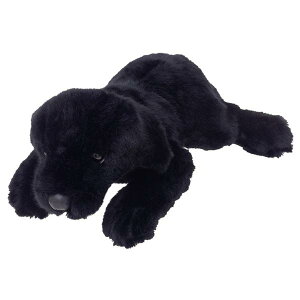 ̂ʂ݁@uh[go[@ubN@SSTCY@180414@g