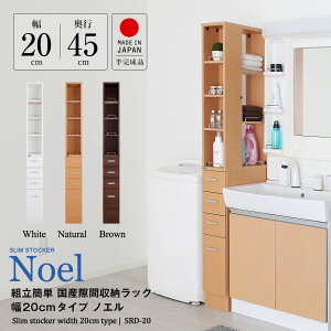 gȒP Y Ԏ[bN 20cm mG ii Ԏ[  XL} [ Lb` Tj^[ { ܎[ ؐ