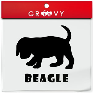 r[O  XebJ[  Gu V[ fJ[  ~[ KX ANZT[ uh AEghA ObY G   