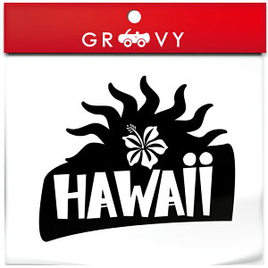 nC hawaii nCrXJX z S XebJ[  썑 JCC  V[ ][g C An T[tB _CrO gsJ } X|[c h ANZT[ uh AEgh