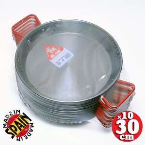 Ɩp ̔ XyC EL CID pGAix 30cm 10Zbg llp vp pGAp  europe_plum sec-30_10