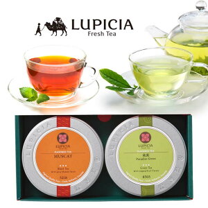 Z[/sVA@̃oGeBZbgA@ Mtg  lߍ킹 Zbg j