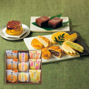 yԂDKiznًÂ@Ɉ@DSS-15Qaَq lߍ킹 l Zbg َq