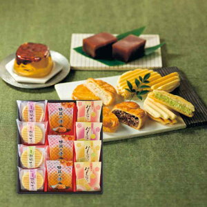 yԂDKiznًÂ@Ɉ@DSS-20@Qaَq lߍ킹 l Zbg َq