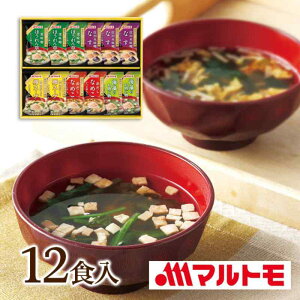 yԂDKiz}g@߉̂oi12HjMS-20F