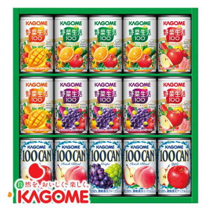 yԂDKizJS@₩t@~[Mtgi15{jKSR-20PQW[X ʏ` pbN