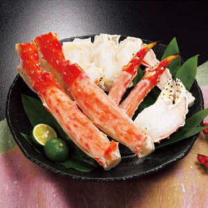 X[p[Z[yΕz{CΊIin[t|[VjB1-2  Mtg 蕨 i Ε Ε C̍K CY  lC O 