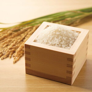 X[p[Z[yΕzR`Yāi͂ʂjB28-8  Mtg 蕨 i Ε Ε lC O 