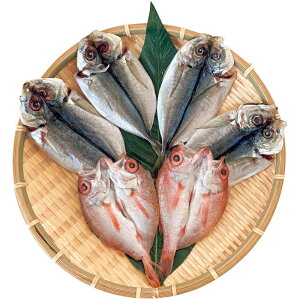 yΕzY VR̂ǂƐ^̊J@B4-9  Mtg 蕨 i Ε Ε lC O 